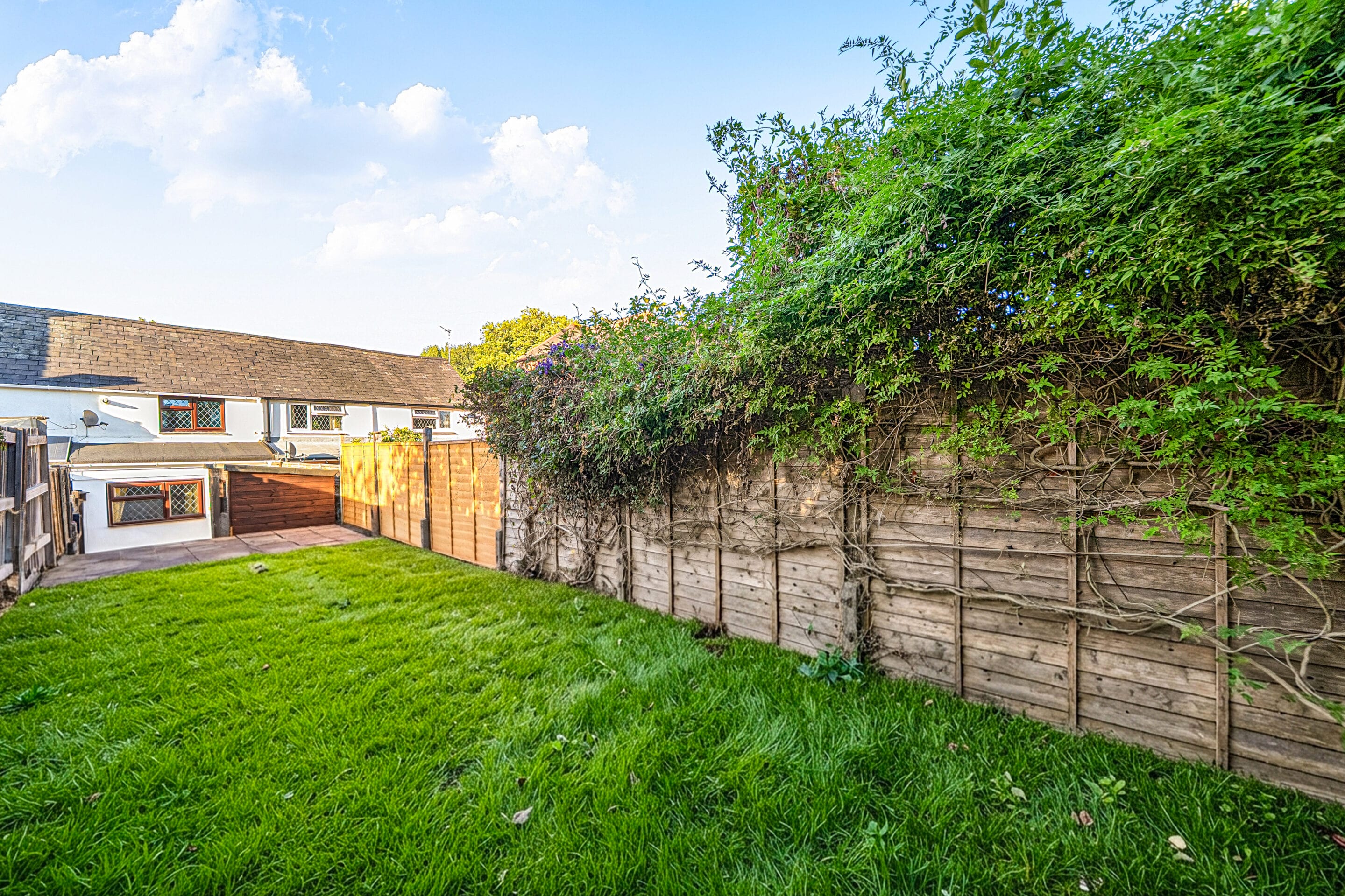 Number 15