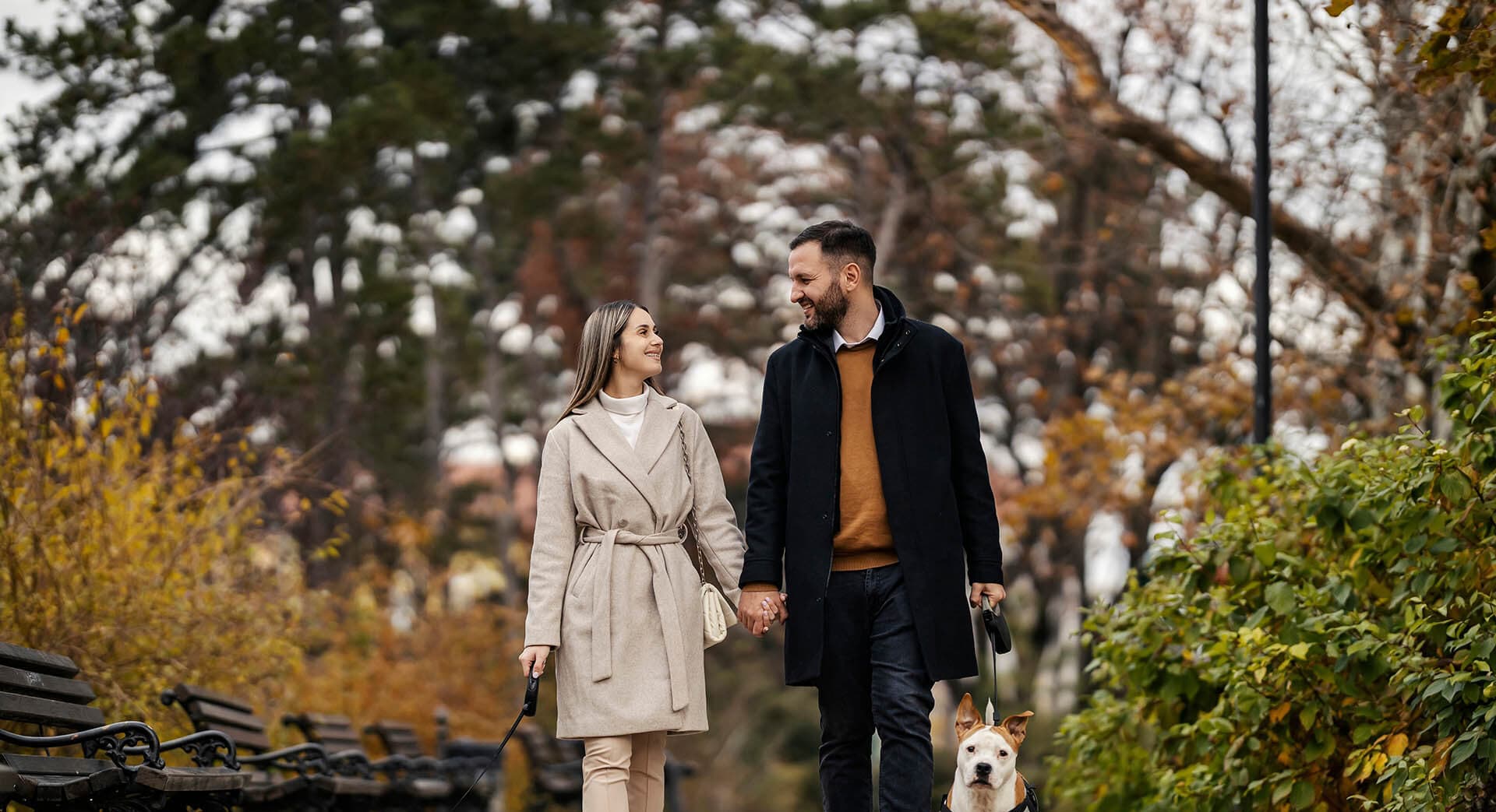 Guide to Renting Property