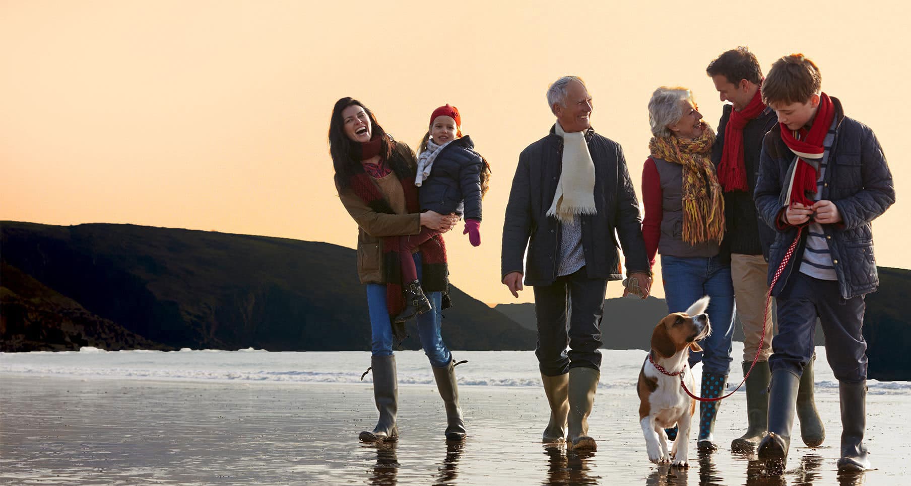 <strong>Who Lives Here?</strong>