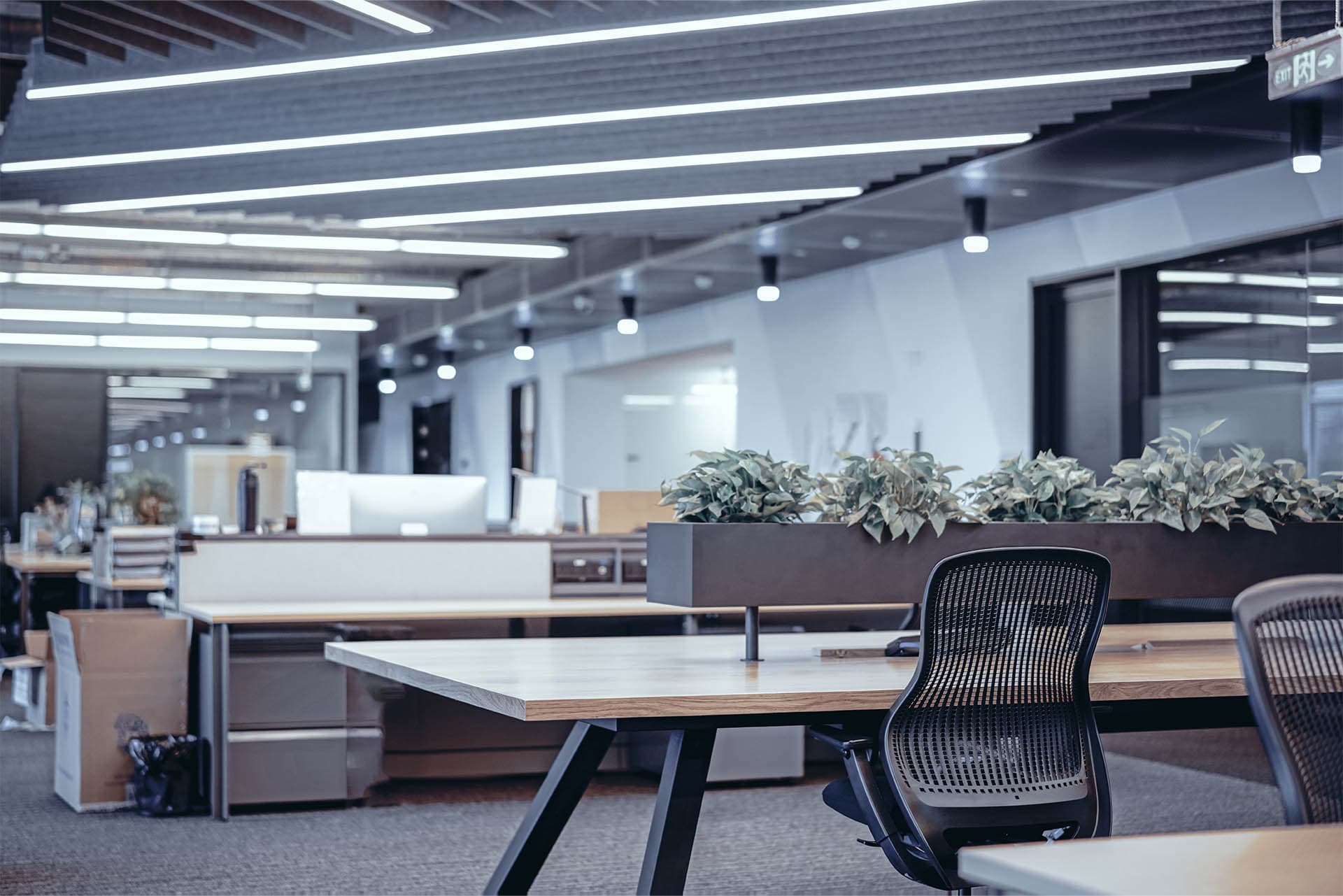 <strong>Our <span style="color: hsl(28, 92%, 60%);">Service</span> Includes:</strong>