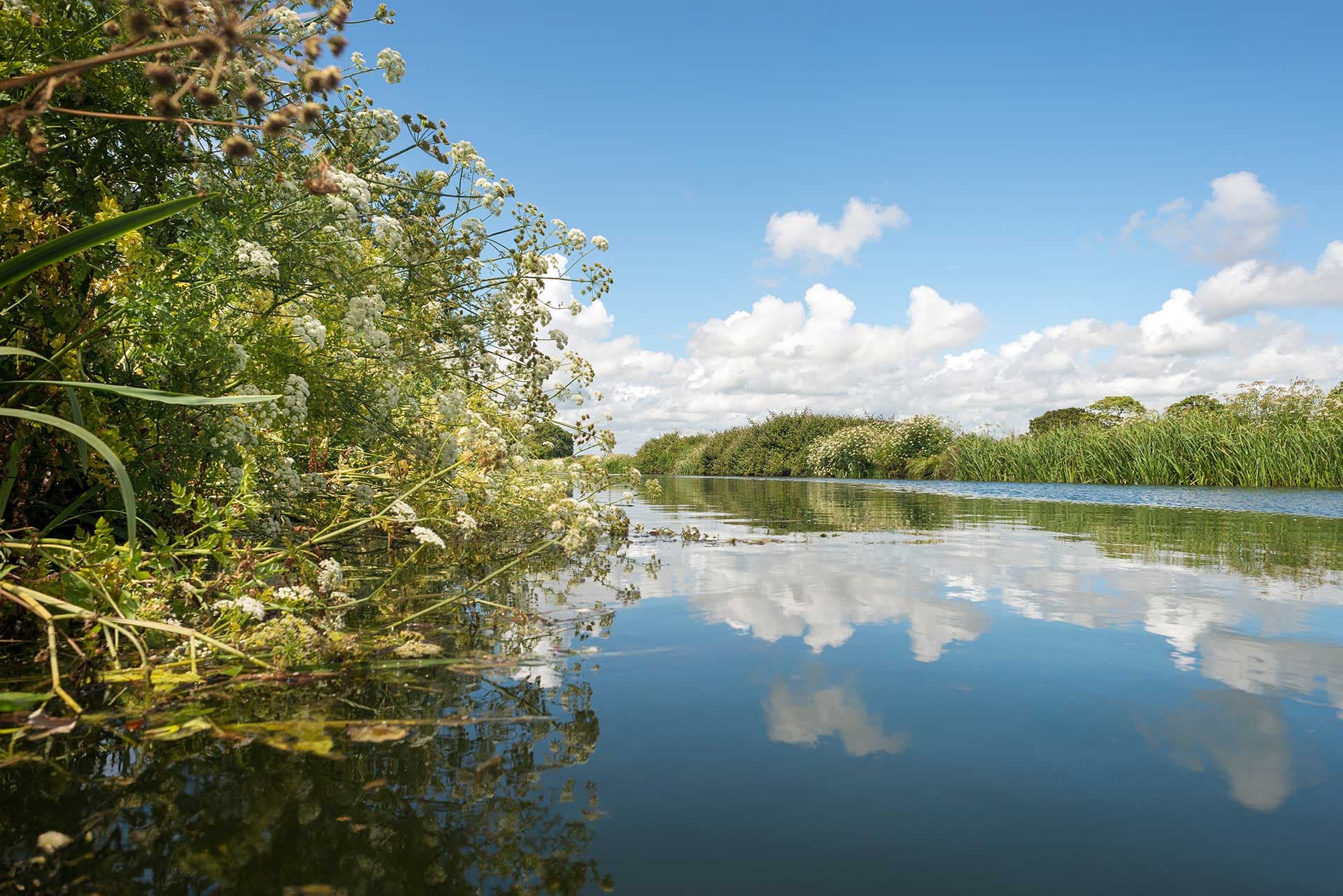 <strong>Local Highlights</strong>