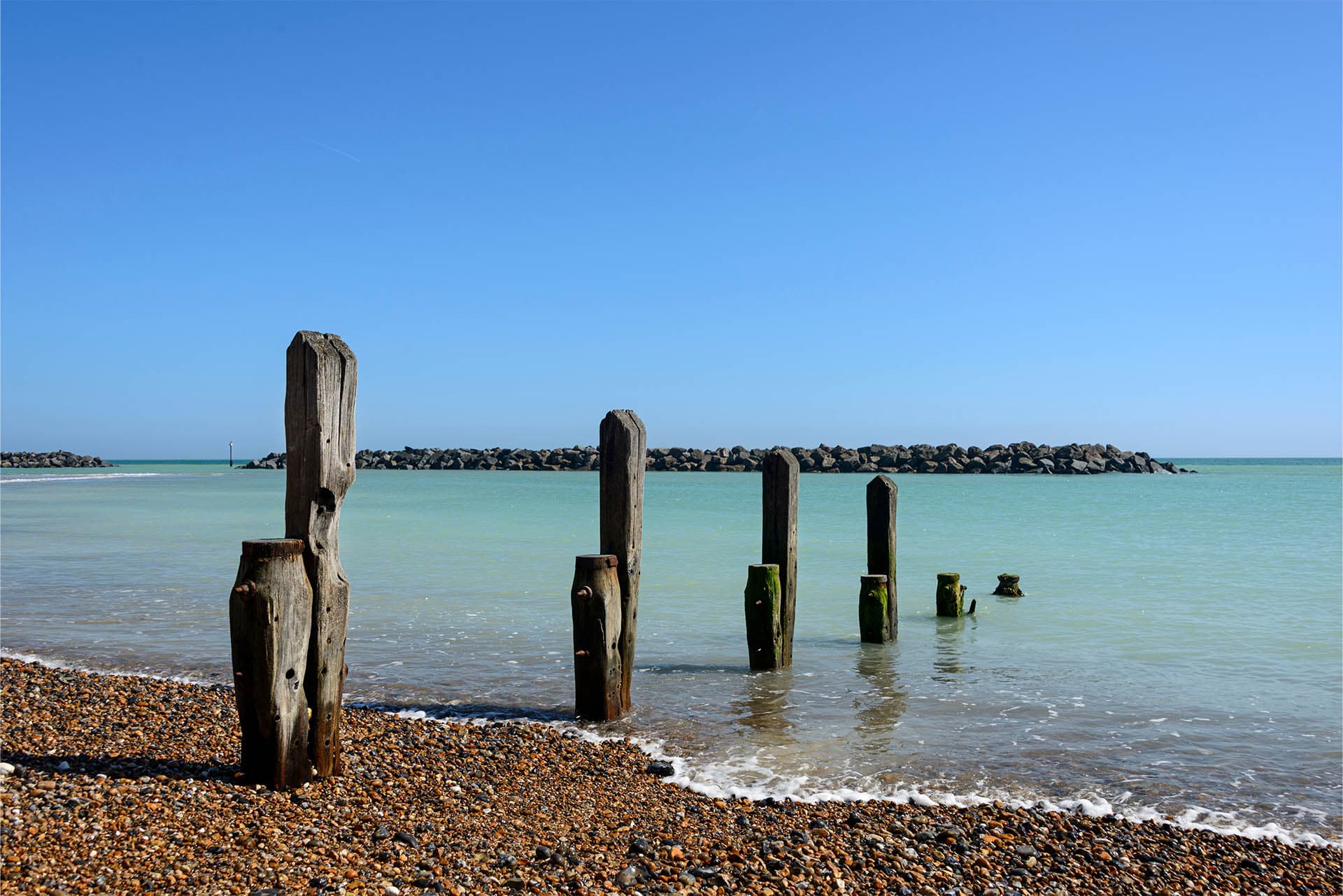 <strong>Local Highlights</strong>