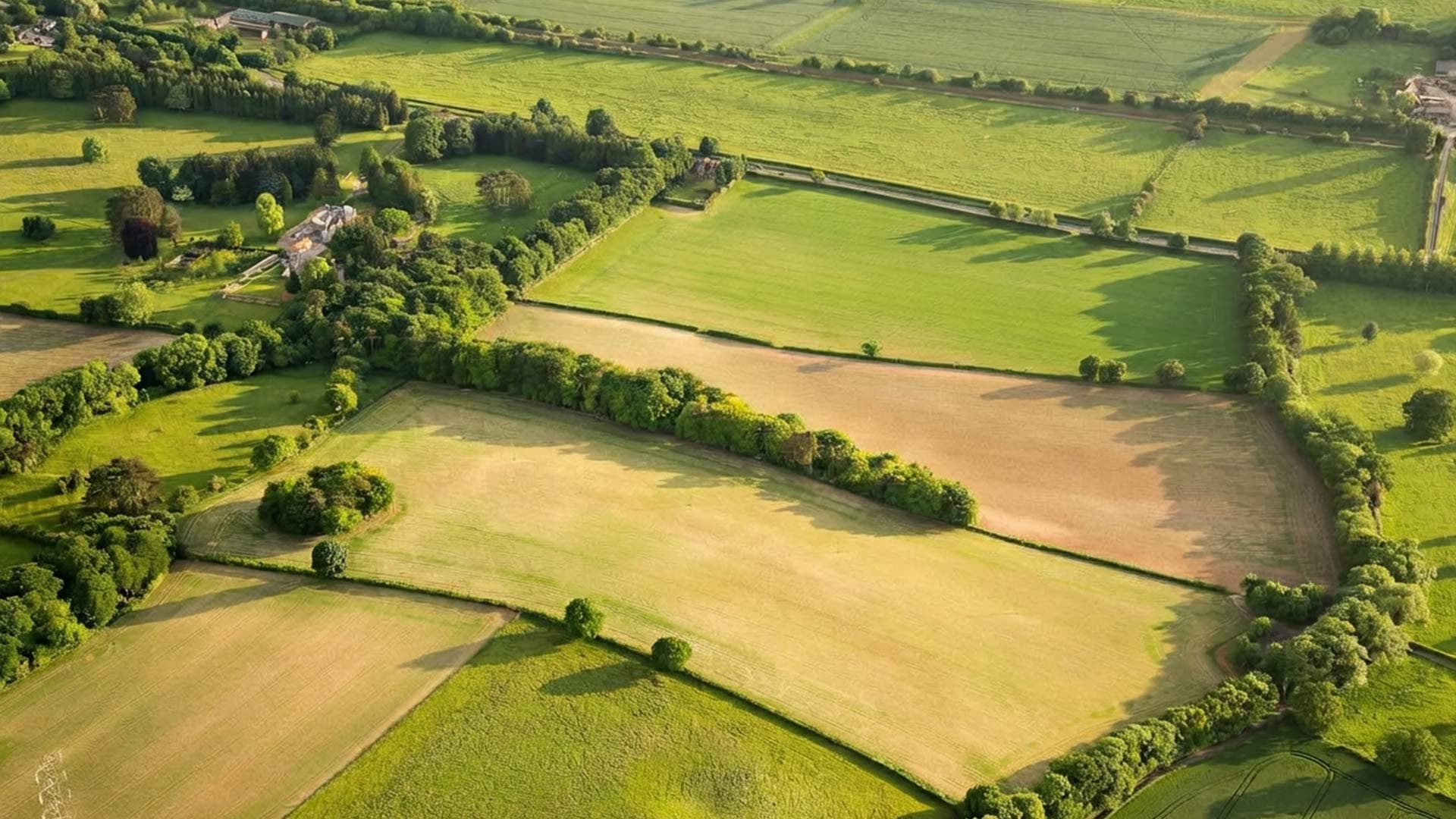 Own Land?