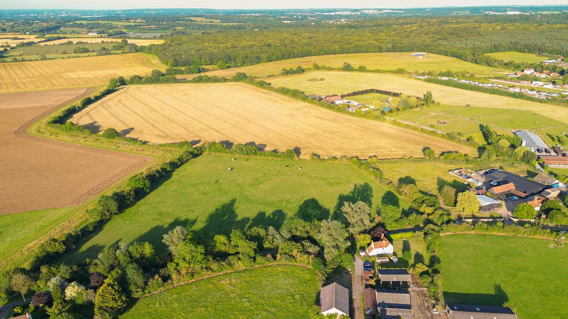 Own Land?